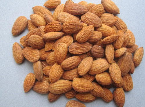 vietnamnet vietnamnet