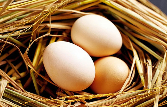 thực phẩm, giá rét, thực phẩm không nên ăn