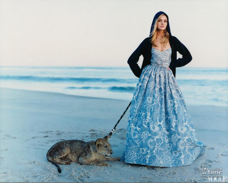 Scarlett Johansson quyến rũ bên chú báo khi xuất hiện trên trang bìa tạp chí Vouge. Robert Pattison vác cả con cá xấu. Con quạ "ranh mãnh" đang dùng mỏ rút dây áo tắm của người đẹp Petra Nemcova. Drew Barrymore và sư tử gợi nhớ hình ảnh "người đẹp và ác thú". Siêu mẫu Caroline Trentini với vẻ đẹp mạnh mẽ mà gợi cảm. "Thôn nữ" Madona đang cho gà ăn. Nicole Kidman, cô chủ kiêu kỳ và mạnh mẽ trong trang trại nuôi bò. Reese Witherspoon "lả lướt" bên chú voi to lớn. Tiểu thư xinh đẹp Renee Zellweger thẩn thơ dưới gốc bên chú thỏ đáng yêu. Siêu mẫu Aleksandra Nilsen mạnh mẽ bên hai chú sư tử. Jennifer Aniston cùng chú cún cưng của mình. Demi Moore phải bắc thang lên để âu yếm chú hươu cao cổ.