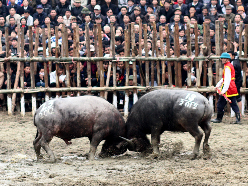 Nhiều trận đấu nảy lửa diễn ra