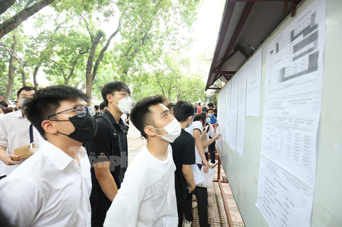 Nhiều trường đại học có tỷ lệ thí sinh xác nhận nhập học đạt gần 100% ảnh 1 Nhiều trường đại học có tỷ lệ thí sinh xác nhận nhập học đạt gần 100% ảnh 1