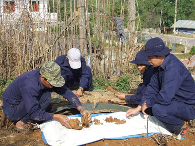 Đưa hài cốt liệt sĩ về đất mẹ. Đưa hài cốt liệt sĩ về đất mẹ