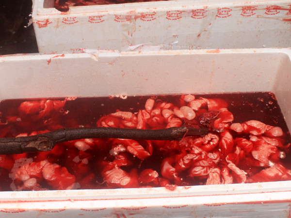 Lòng lợn ngâm đầy hóa chất