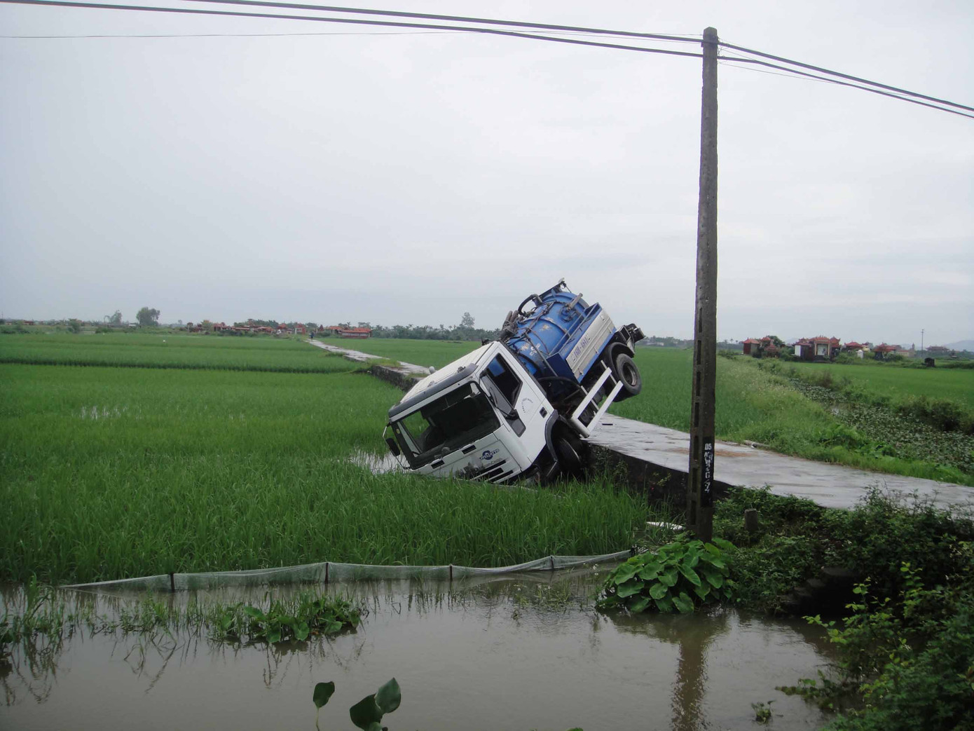 Giải cứu 'trâu sắt' gây xung đột ảnh 1