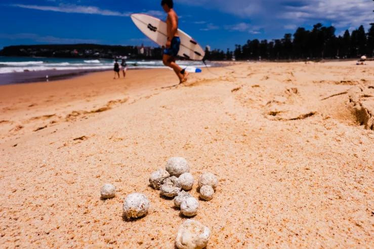 9 bãi biển được mệnh danh là thiên đường ở Sydney (Úc) phải đóng cửa vì xuất hiện hàng ngàn quả bóng màu trắng xám. Ảnh: James Brickwood. 9 bãi biển được mệnh danh là thiên đường ở Sydney (Úc) phải đóng cửa vì xuất hiện hàng ngàn quả bóng màu trắng xám. Ảnh: James Brickwood.
