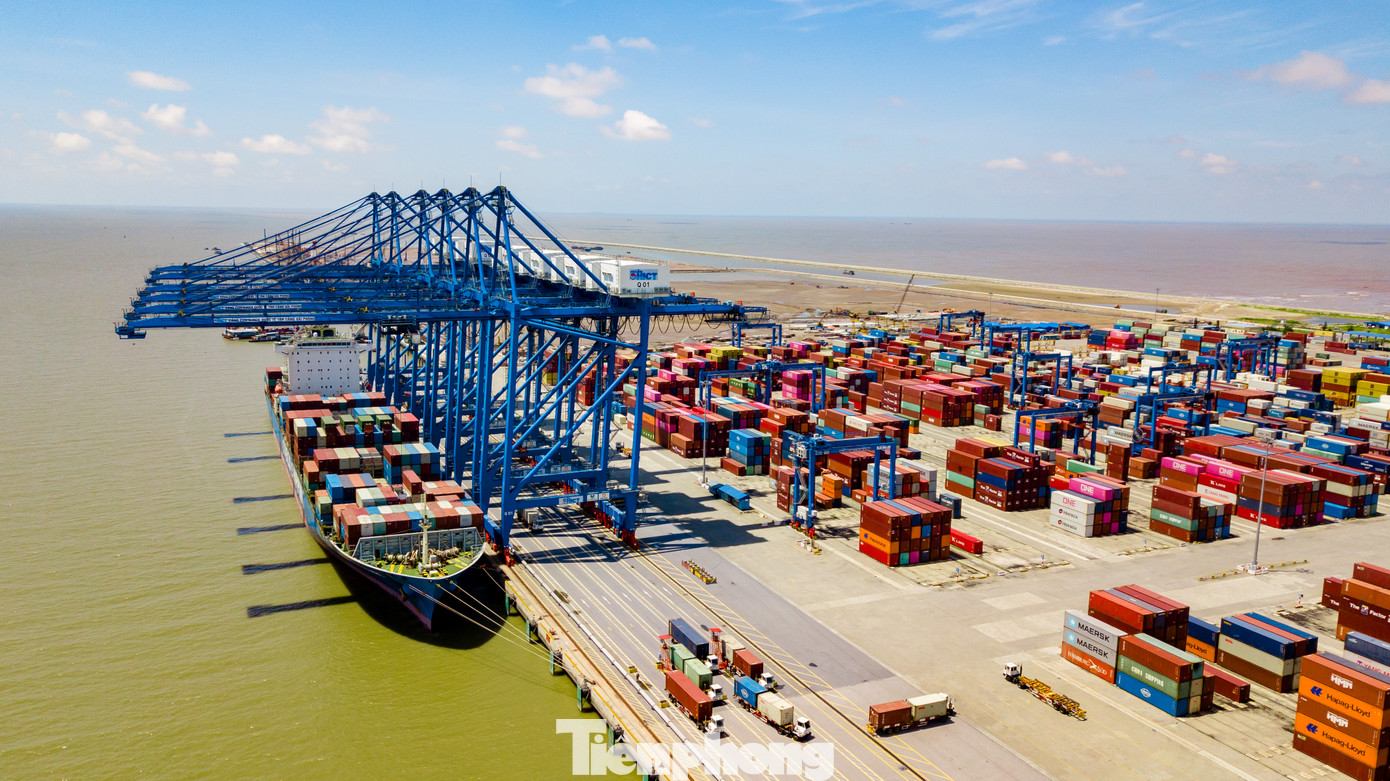 VIMC đặt mục tiêu phát triển nhanh đội tàu biển quốc gia thông qua chiến lược hợp tác với các hãng tàu lớn nhất thế giới. Ảnh: Lộc Liên.