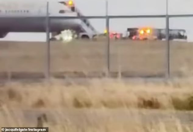 Bánh máy bay Boeing 787 của Hãng hàng không Etihad Airway phát nổ khi chuẩn bị cất cánh: Ảnh: Daily Mail Australia.