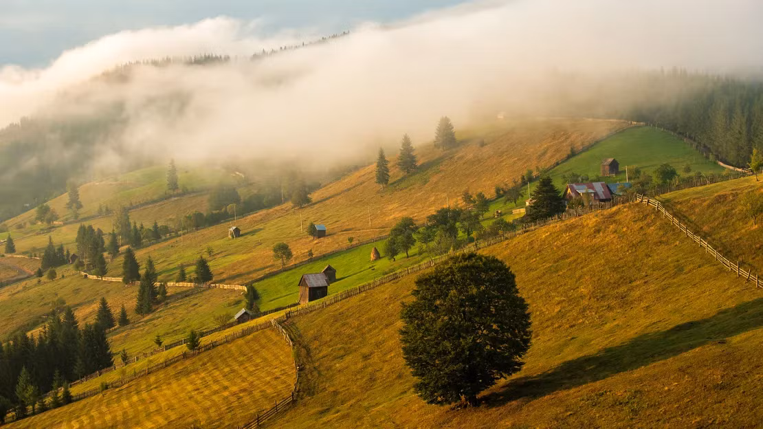 Đường Via Transilvanica đi qua những vùng nông thôn của Romania với vẻ đẹp như khiến thời gian bị đóng băng. Ảnh: Transilvanica