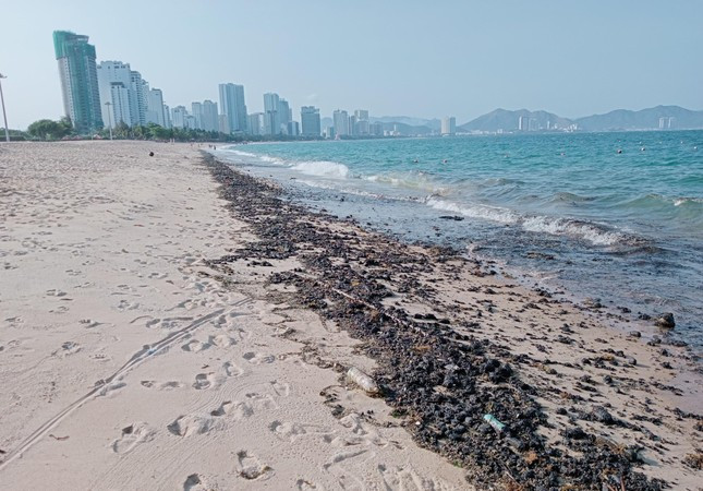 Hiện tượng dầu vón cục xuất hiện tại bãi biển Nha Trang vào năm 2022.