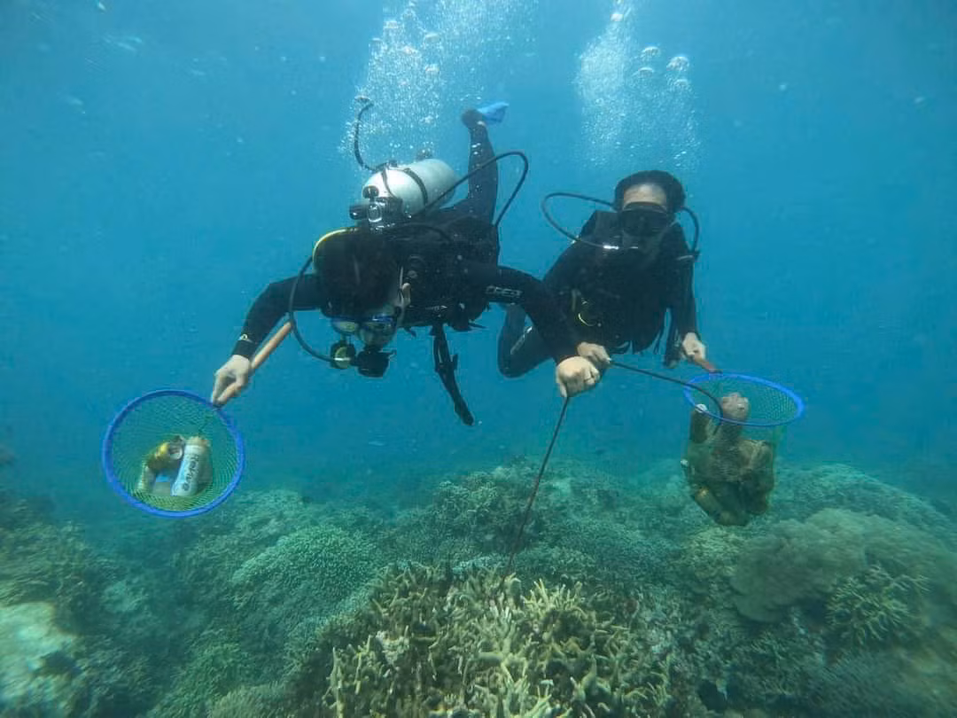 Ban quản lý Vịnh Nha Trang tổ chức bắt sao biển và nhặt rác ở đáy biển Khu vực bảo tồn biển Hòn Mun. Nguồn: BQL Vịnh Nha Trang. Ban quản lý Vịnh Nha Trang tổ chức bắt sao biển và nhặt rác ở đáy biển Khu vực bảo tồn biển Hòn Mun. Nguồn: BQL Vịnh Nha Trang.