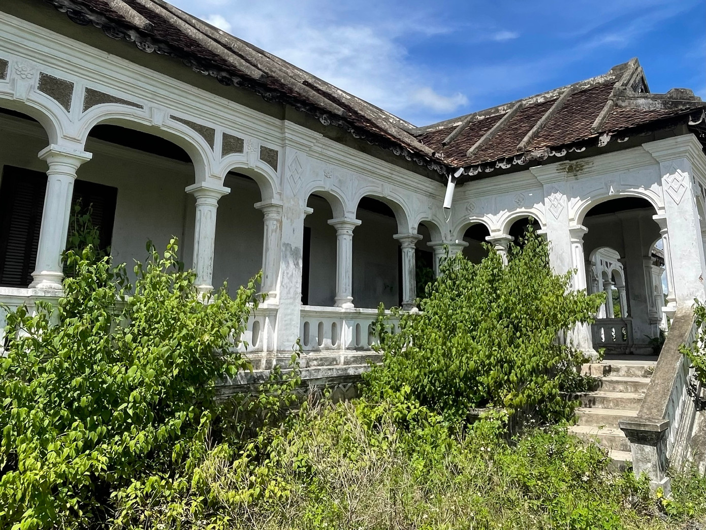 Trong khuôn viên nhà cổ cỏ dại mọc um tùm, cây cối ngã đổ, rác thải nhếch nhác.