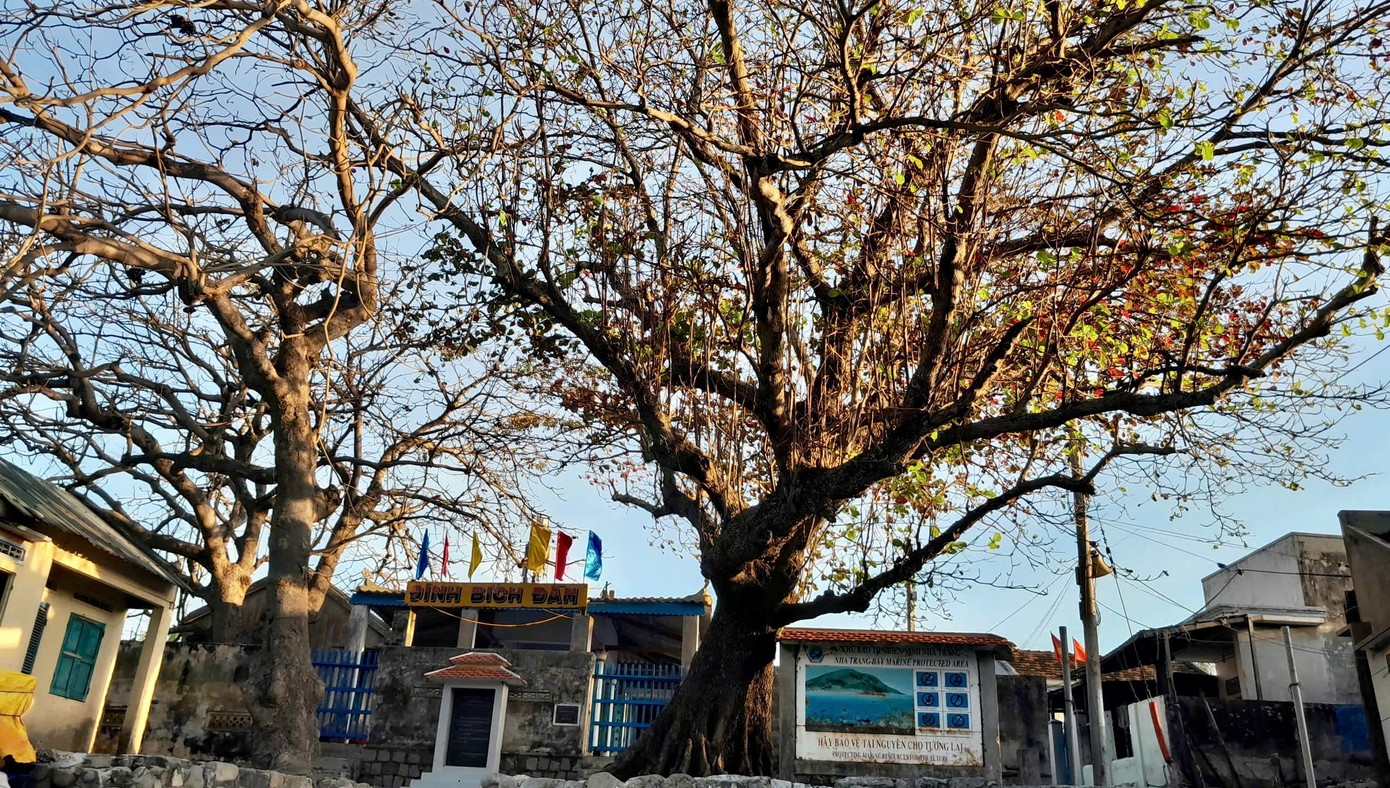 Ngôi đình Bích Đầm cổ kính là điểm đến hấp dẫn du khách.