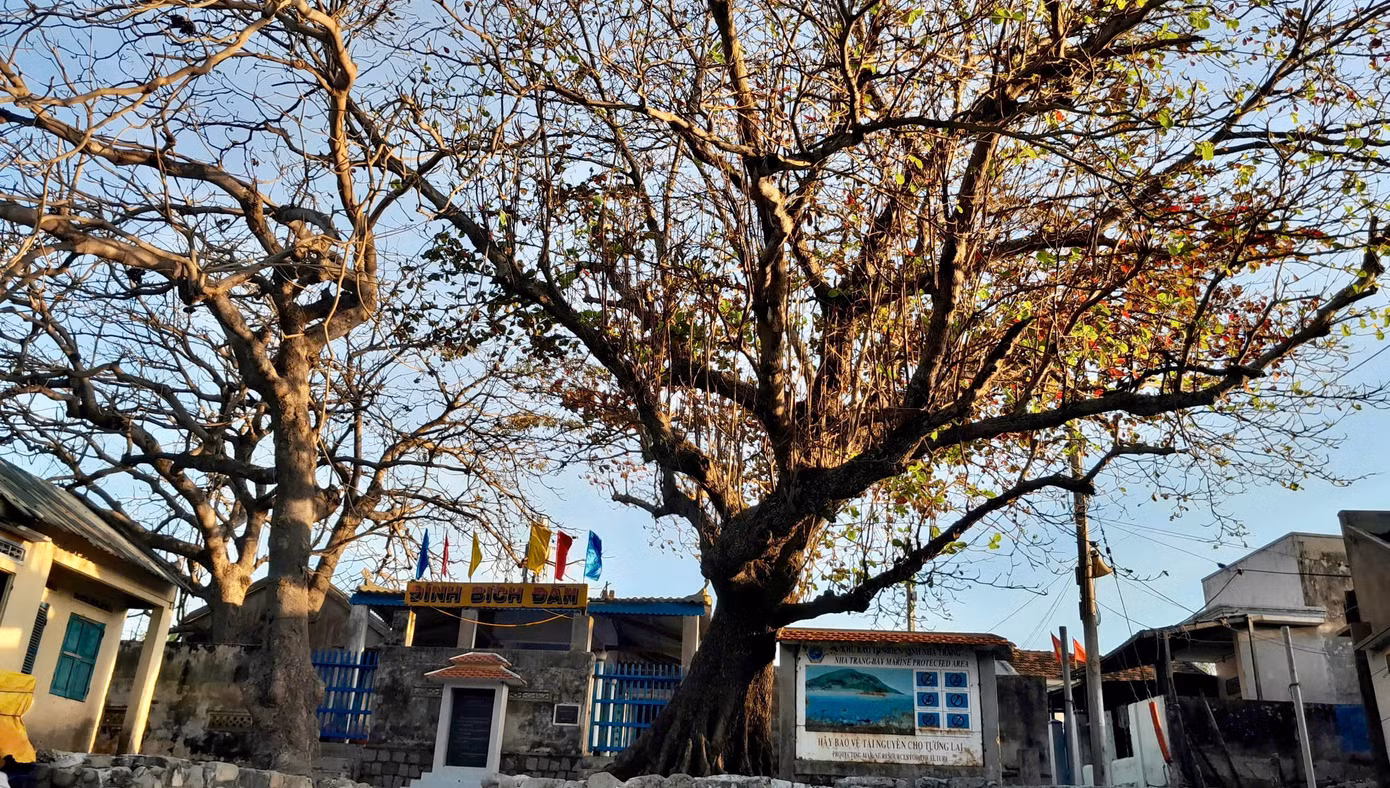 Ngôi đình Bích Đầm cổ kính là điểm đến hấp dẫn du khách. Ngôi đình Bích Đầm cổ kính là điểm đến hấp dẫn du khách.