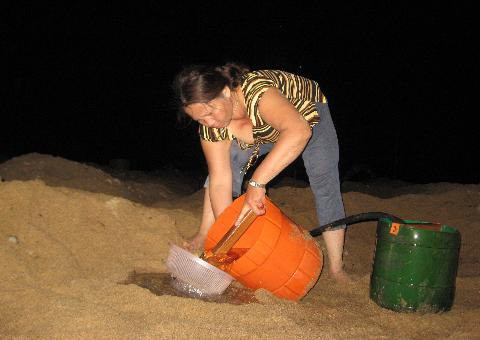 Trời nắng nóng, người dân phải tiếp nước cho giá. Ảnh: Nông nghiệp Việt Nam.