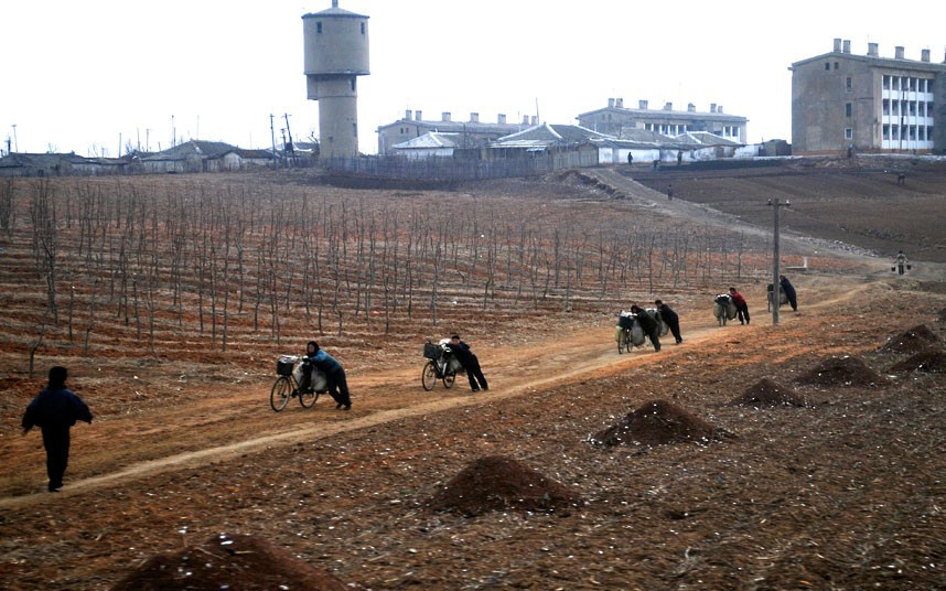 Phụ nữ Triều Tiên dùng xe đạp vận chuyển nguyên vật liệu cho nông dân cày cấy