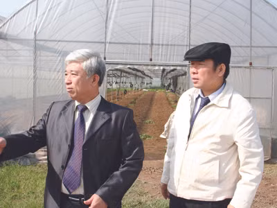 Chủ tịch HĐTV-TGĐ Cty, TS Phan Minh Nguyệt (bên phải) dẫn Phó Giám đốc Sở NN- PTNT Hà Nội Đào Duy Tâm thăm vùng rau an toàn Đan Phượng