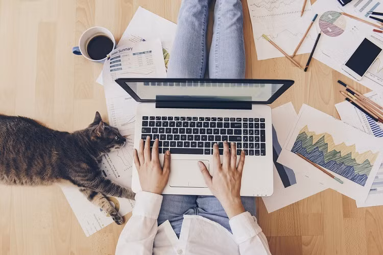 Những việc đang trì hoãn, chỉ cần mỗi ngày bỏ ra 5 phút để thực hiện. Những việc đang trì hoãn, chỉ cần mỗi ngày bỏ ra 5 phút để thực hiện.