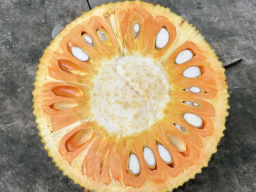 Mít ruột đỏ có màu sắc đẹp, vị ngọt, giòn.