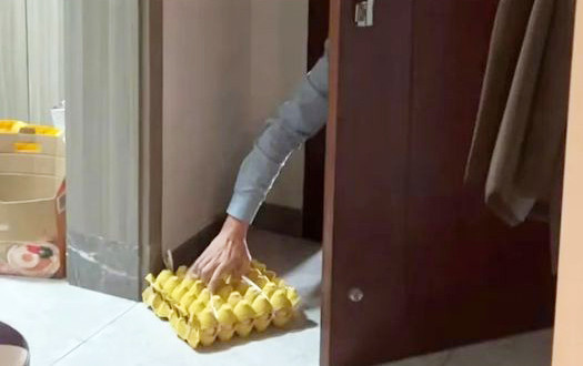 Chàng trai nhặt trứng mang ra khỏi nhà.