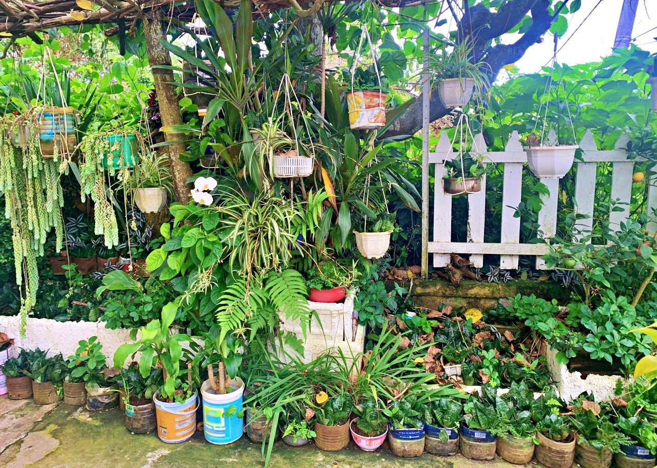 Mảng xanh trong không gian sống của Như đều được trồng, chăm sóc bằng các vật dụng cũ, tái chế.