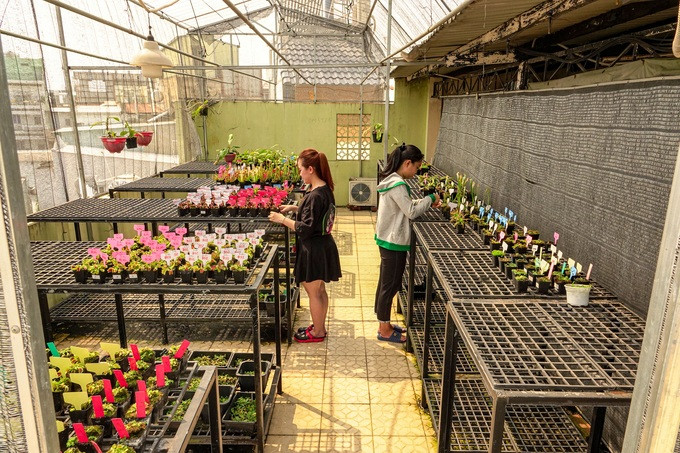 Khu vườn cây ăn thịt của Hồng Thu chỉ rộng 30m2, nhưng có thể đem lại thu nhập gần 20 triệu đồng/tháng cho cô gái. (Ảnh: Thúy Vy) Khu vườn cây ăn thịt của Hồng Thu chỉ rộng 30m2, nhưng có thể đem lại thu nhập gần 20 triệu đồng/tháng cho cô gái. (Ảnh: Thúy Vy)