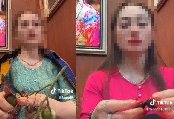 Cô đồng T.H những ngày gần đây nổi "rần rần" mạng xã hội, xem bói bằng hình thức... bổ cau Cô đồng T.H những ngày gần đây nổi "rần rần" mạng xã hội, xem bói bằng hình thức... bổ cau