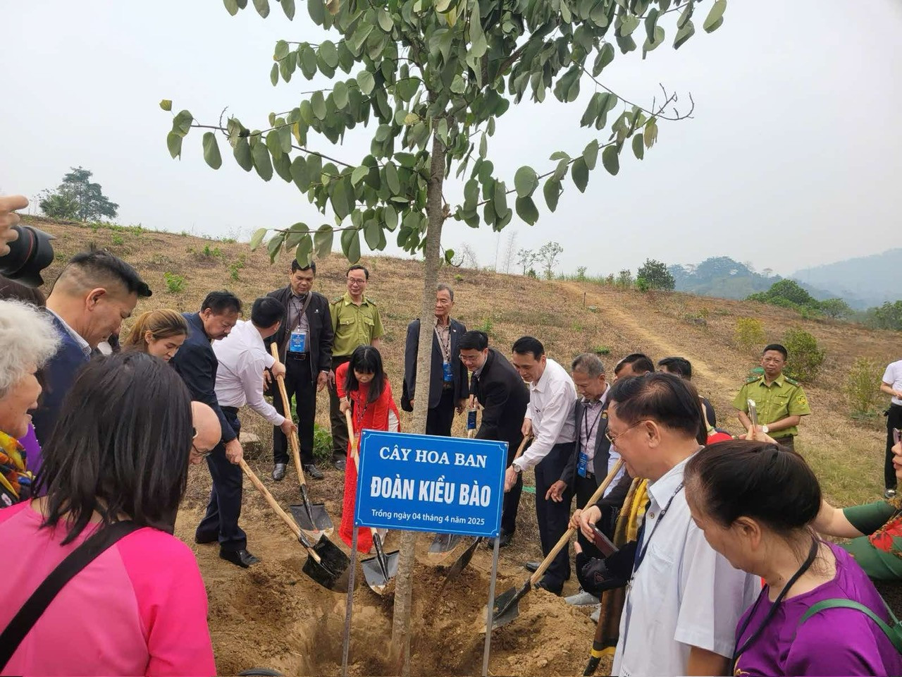 Đoàn kiều bào trồng cây hoa ban tại Tân Trào Đoàn kiều bào trồng cây hoa ban tại Tân Trào