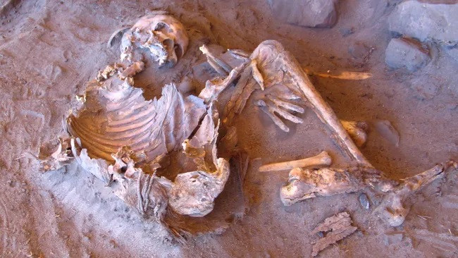 Xác ướp tự nhiên của con người được tìm thấy trong hang đá Takarkori ở sa mạc Sahara chỉ ra một quần thể người chưa từng được biết đến trước đây. (Ảnh: Đại học Sapienza ở Rome)