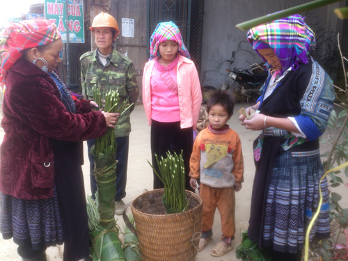 Những ngày này, khắp mọi miền tổ quốc đang háo hức sắm sửa đón chào năm mới – Xuân Quý Tỵ 2013. Xã vùng cao Púng Luông (huyện Mù Cang Chải, Yên Bái) cũng rộn ràng không kém