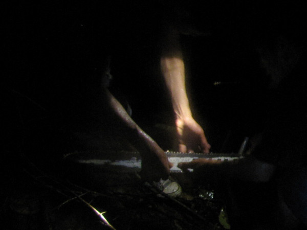 Cảnh lâm tặc phá rừng ban đêm