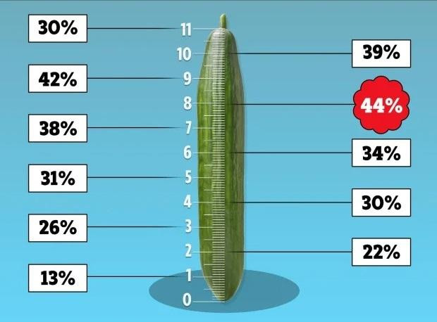 Kết quả khảo sát về kích thước "cậu nhỏ" khiến chị em hài lòng nhất. Ảnh: The Sun.
