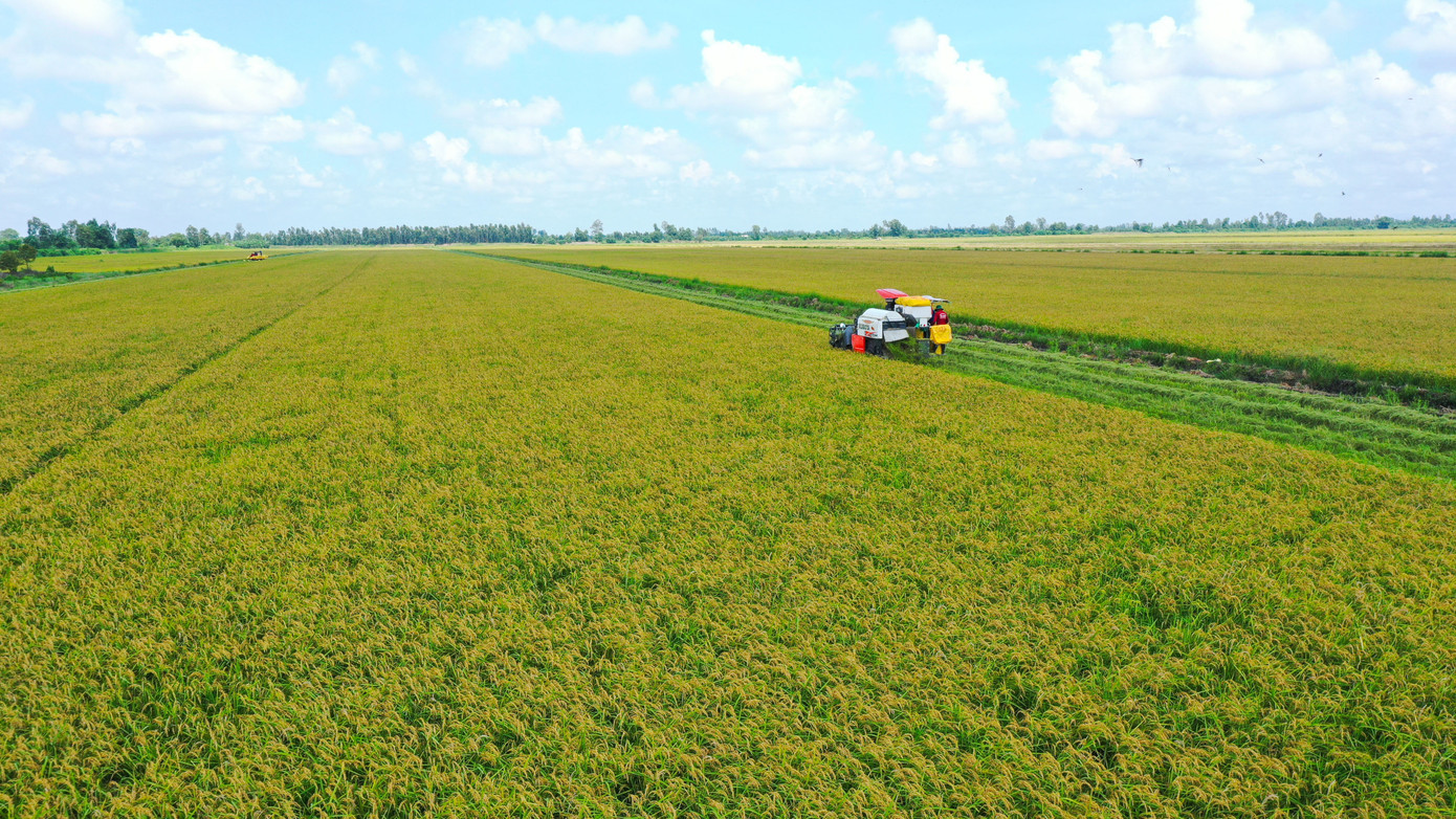 Hơn 20 năm kinh nghiệm trong lĩnh vực sản xuất và kinh doanh lúa gạo, Tập đoàn Tân Long ngày càng hoàn thiện chuỗi giá trị lúa gạo “từ cánh đồng đến bàn ăn”.