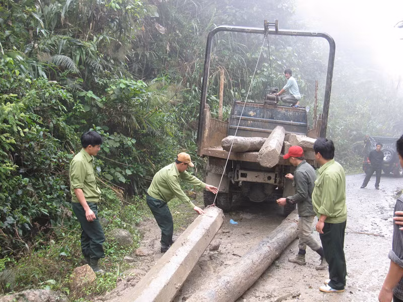 Thu hồi gỗ bị lâm tặc phá