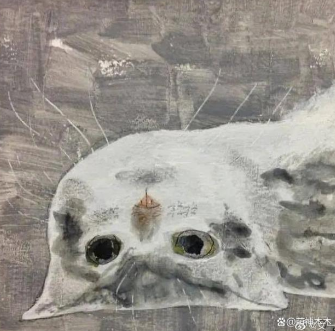 Ảnh đại diện WeChat của Hướng Hàm Chi là một chú mèo nhỏ.