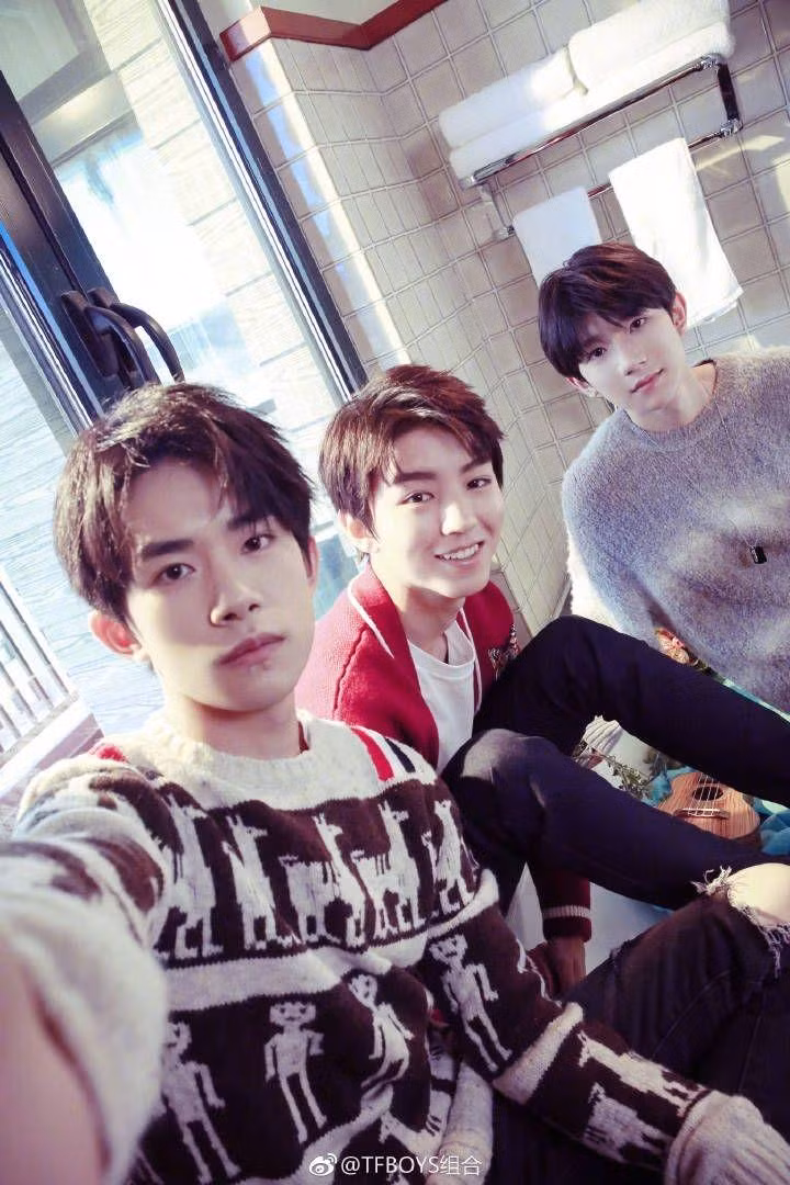 Trong khi cộng đồng fan nhóm TFBOYS có tên là Tứ Diệp Thảo, màu đại diện là màu cam...