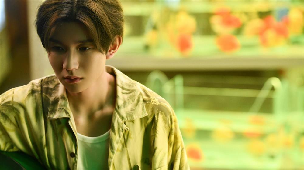 Vương Nguyên cũng có fandom riêng là Tiểu Thang Viên, màu đại diện là xanh lục. Vương Nguyên cũng có fandom riêng là Tiểu Thang Viên, màu đại diện là xanh lục.