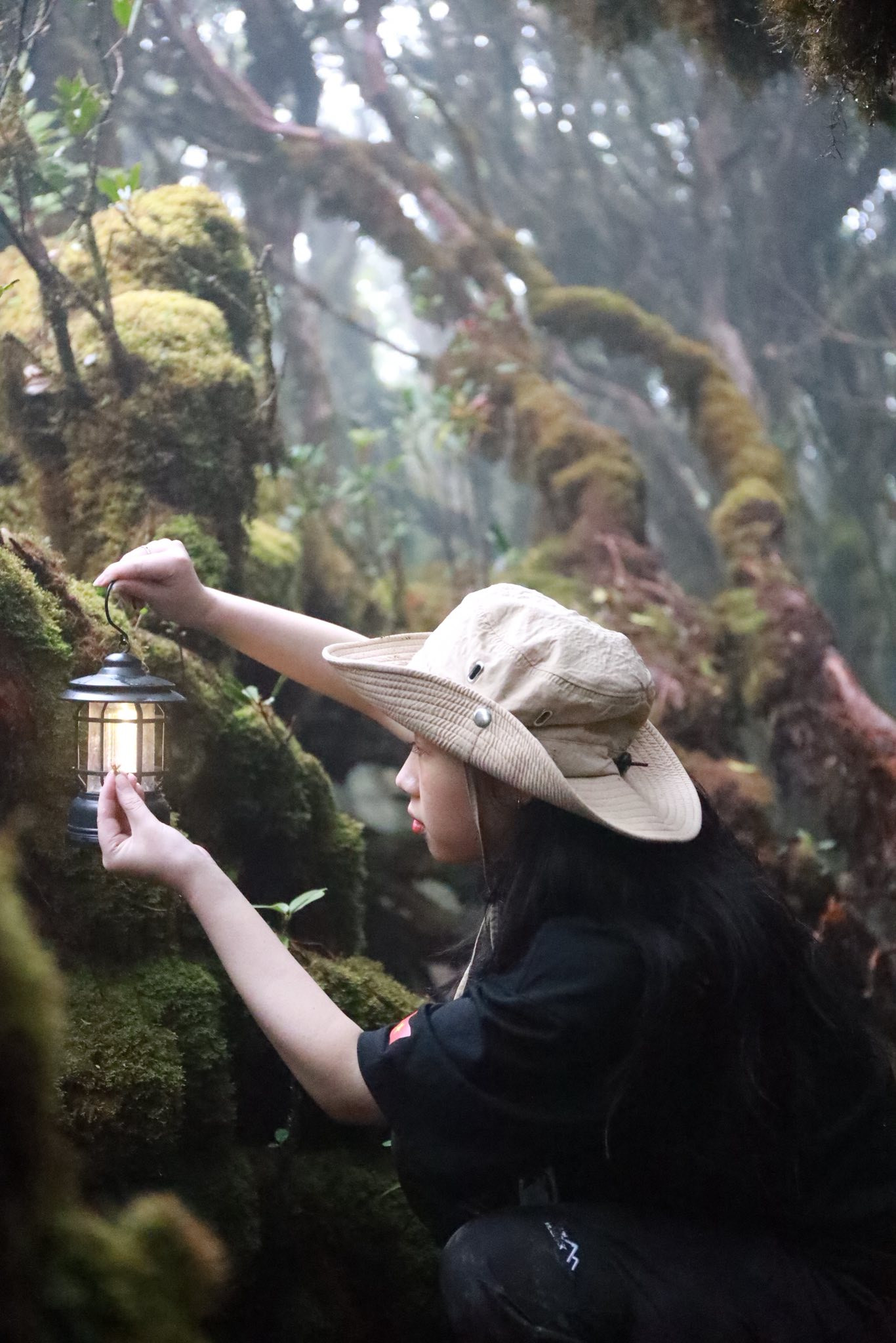 Với những ai muốn thử thách bản thân sẽ chọn đỉnh Fansipan (Lào Cai) - nóc nhà Đông Dương cao 3.143m, leo qua theo đường Trạm Tôn hoặc Cát Cát tùy độ khó mong muốn. Ngoài ra, các đỉnh như Pha Luông (Mộc Châu), Lảo Thẩn (Lào Cai), Tả Liên Sơn (Lai Châu) hay Putaleng, đỉnh cao thứ hai Việt Nam – đều là những hành trình trekking hấp dẫn, đưa bạn trẻ băng qua rừng già, thác nước và những thảm thực vật kỳ thú. Ảnh: A Lử đây đó.