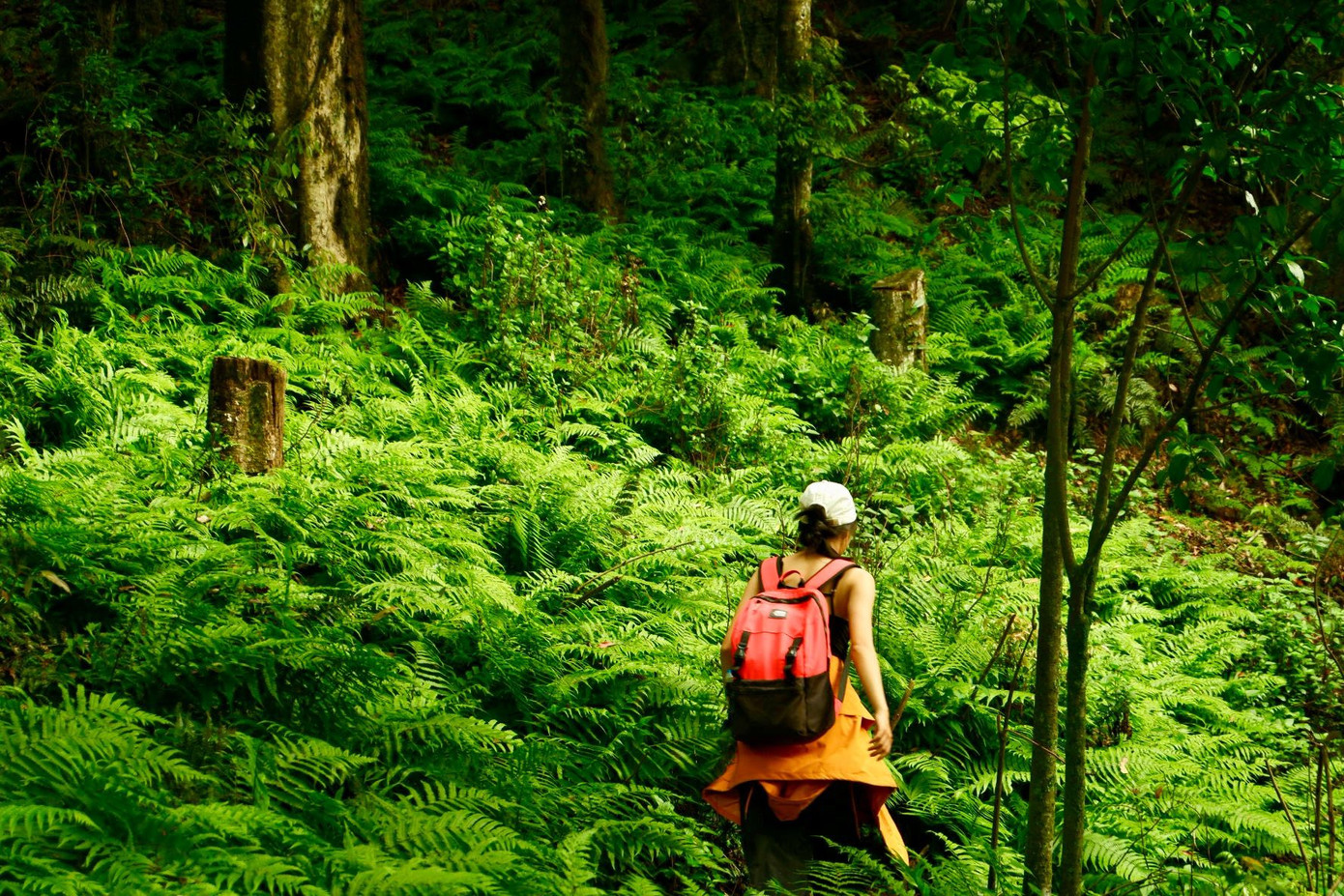 Thông qua trekking, nhiều bạn trẻ khám phá được thêm giới hạn của bản thân, học được cách cố gắng đạt mục tiêu và không bỏ cuộc. Ảnh: Hương Giang Vũ