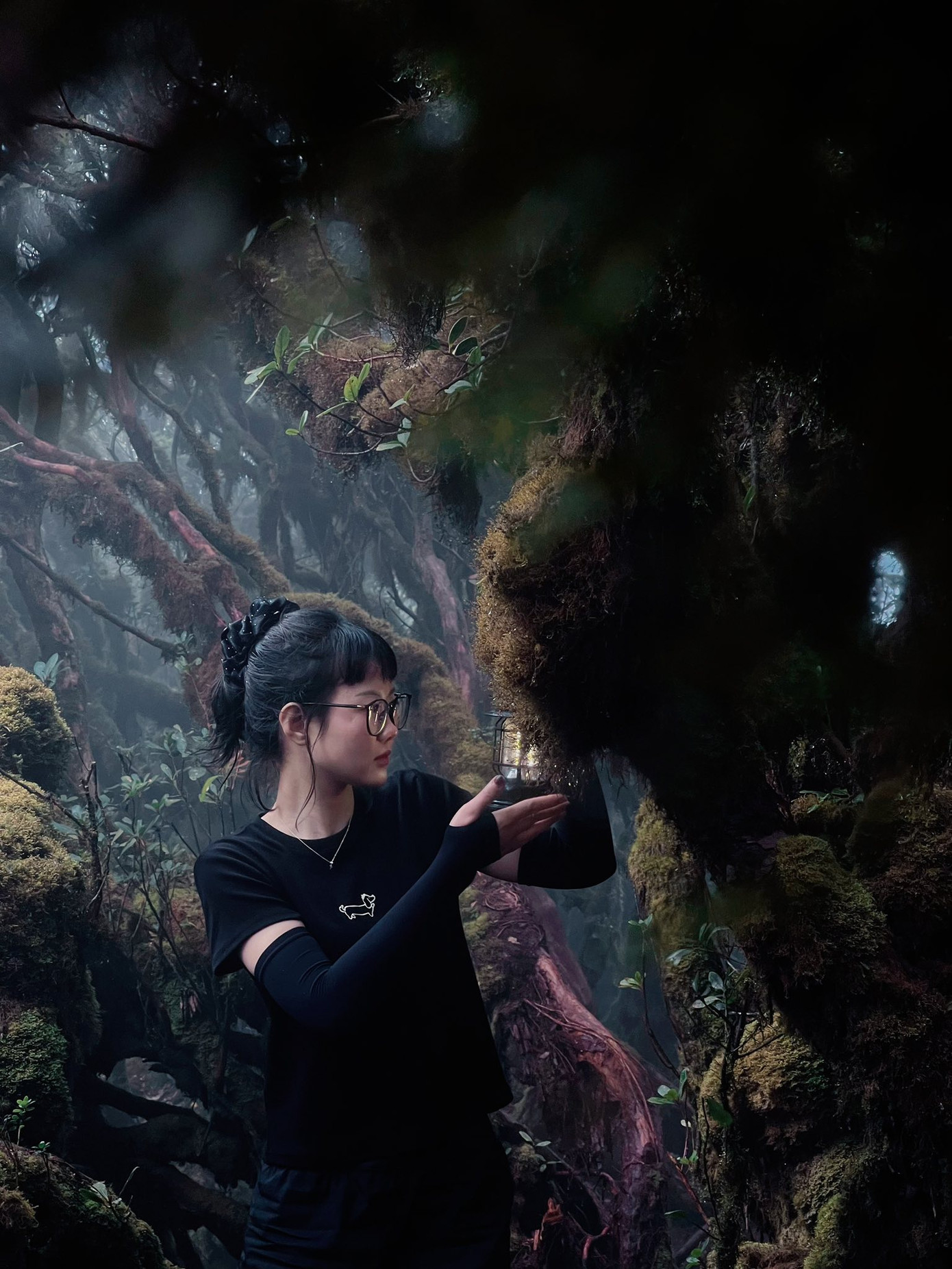 Với những ai muốn thử thách bản thân sẽ chọn đỉnh Fansipan (Lào Cai) - nóc nhà Đông Dương cao 3.143m, leo qua theo đường Trạm Tôn hoặc Cát Cát tùy độ khó mong muốn. Ngoài ra, các đỉnh như Pha Luông (Mộc Châu), Lảo Thẩn (Lào Cai), Tả Liên Sơn (Lai Châu) hay Putaleng, đỉnh cao thứ hai Việt Nam – đều là những hành trình trekking hấp dẫn, đưa bạn trẻ băng qua rừng già, thác nước và những thảm thực vật kỳ thú. Ảnh: A Lử đây đó.