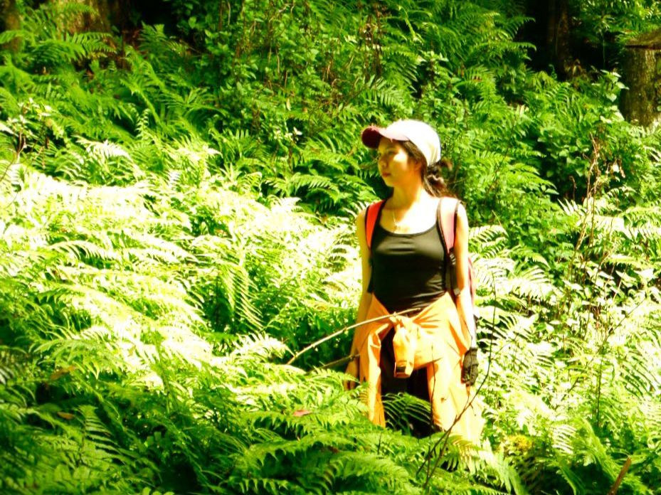 Thông qua trekking, nhiều bạn trẻ khám phá được thêm giới hạn của bản thân, học được cách cố gắng đạt mục tiêu và không bỏ cuộc. Ảnh: Hương Giang Vũ