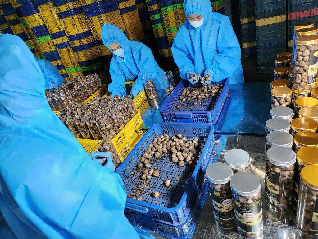 Không chỉ tạo ra sản phẩm có thương hiệu, HTX còn đem lại doanh thu hàng tỷ đồng/năm, tạo việc làm ổn định cho gần 20 lao động địa phương.