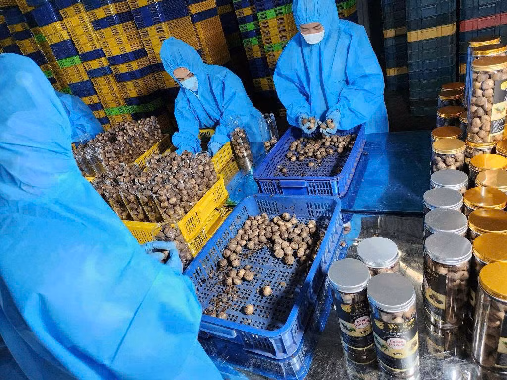 Không chỉ tạo ra sản phẩm có thương hiệu, HTX còn đem lại doanh thu hàng tỷ đồng/năm, tạo việc làm ổn định cho gần 20 lao động địa phương.