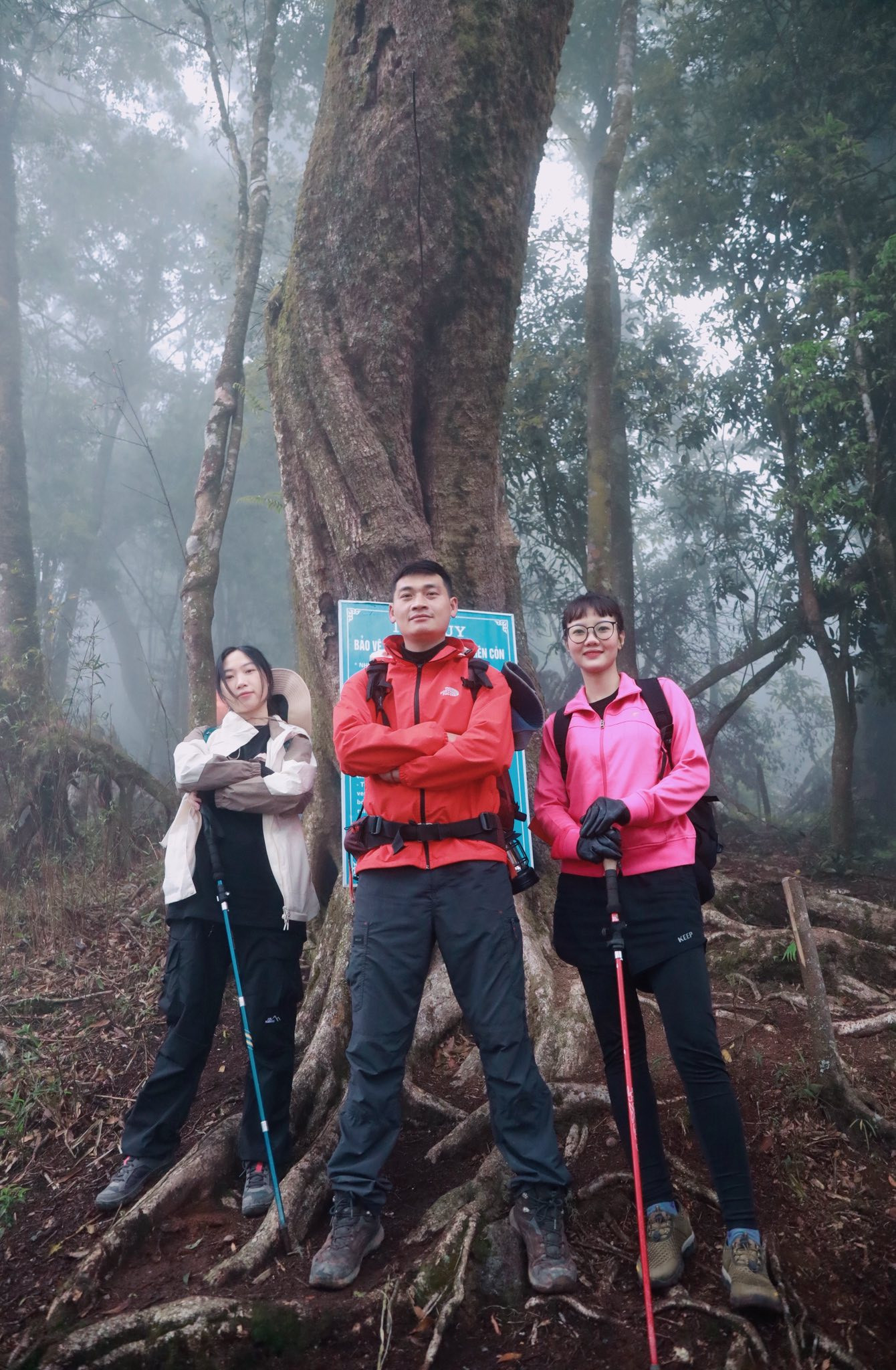 Với những ai muốn thử thách bản thân sẽ chọn đỉnh Fansipan (Lào Cai) - nóc nhà Đông Dương cao 3.143m, leo qua theo đường Trạm Tôn hoặc Cát Cát tùy độ khó mong muốn. Ngoài ra, các đỉnh như Pha Luông (Mộc Châu), Lảo Thẩn (Lào Cai), Tả Liên Sơn (Lai Châu) hay Putaleng, đỉnh cao thứ hai Việt Nam – đều là những hành trình trekking hấp dẫn, đưa bạn trẻ băng qua rừng già, thác nước và những thảm thực vật kỳ thú. Ảnh: A Lử đây đó.