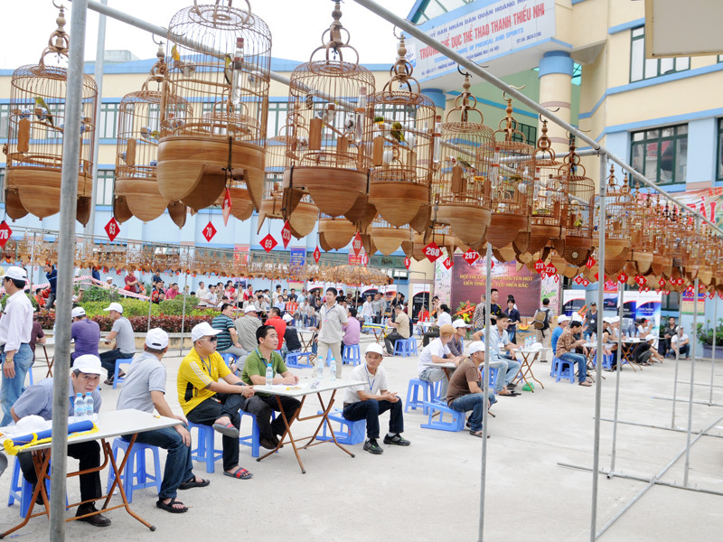 Ban giám khảo phải làm việc rất vất vả để phân biệt giọng hót và số lần líu mỏ của từng chú chim