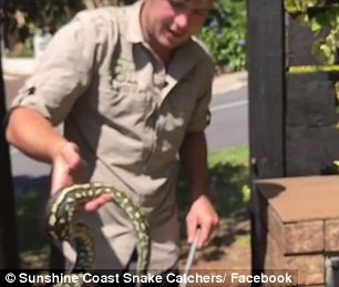 Mở hòm lấy thư, tá hỏa phát hiện trăn ‘khủng’ đang say ngủ ảnh 2