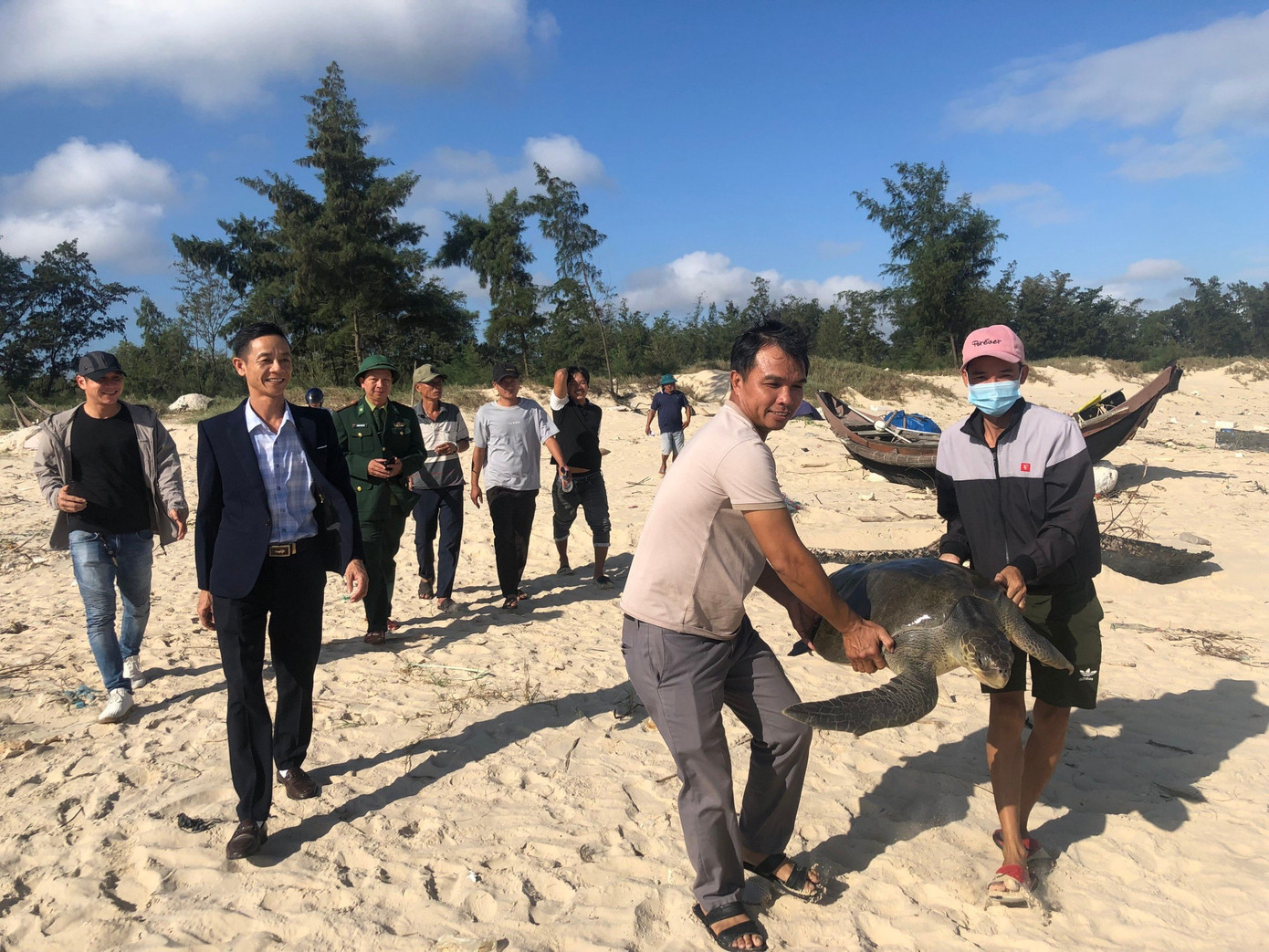 Ban Quản lý Khu bảo tồn biển đảo Cồn Cỏ phối hợp với Đồn Biên phòng Triệu Vân và chính quyền xã Triệu Vân thả 1 cá thể đồi mồi dứa về với biển.