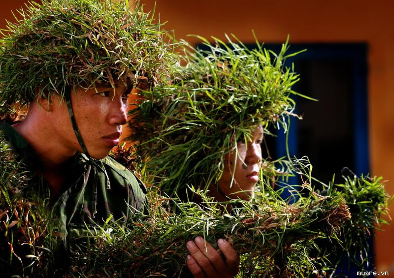 Cả người và súng đều hòa cùng thiên nhiên cây cỏ .....