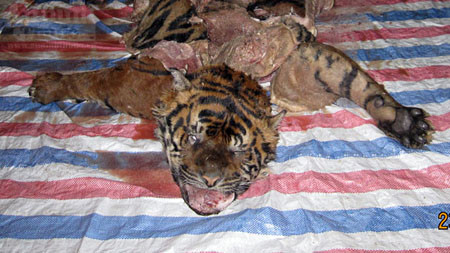 Hiện các đối tượng và tang vật đã được Công an Hà Nội, bàn giao cho Công an tỉnh Phú Thọ tiếp tục điều tra mở rộng