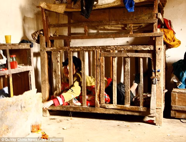 Mọi sinh hoạt trong chiếc cũi gỗ.