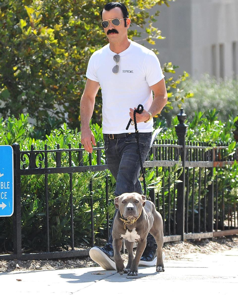 Justin Theroux dẫn chó cưng Kuma đi dạo ở Washington D.C. trong thời gian nghỉ ngơi khi quay bộ phim "The White House Plumbers". Justin Theroux dẫn chó cưng Kuma đi dạo ở Washington D.C. trong thời gian nghỉ ngơi khi quay bộ phim "The White House Plumbers".